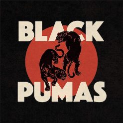 Portada LP Vinyl Black Pumas Black Pumas UPC 880882358716