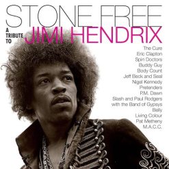 Various – Stone Free (A Tribute To Jimi Hendrix)
